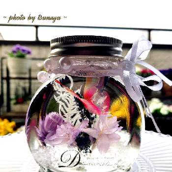 Faクリップの投稿画像一覧｜🍀Greensnap（グリーンスナップ）