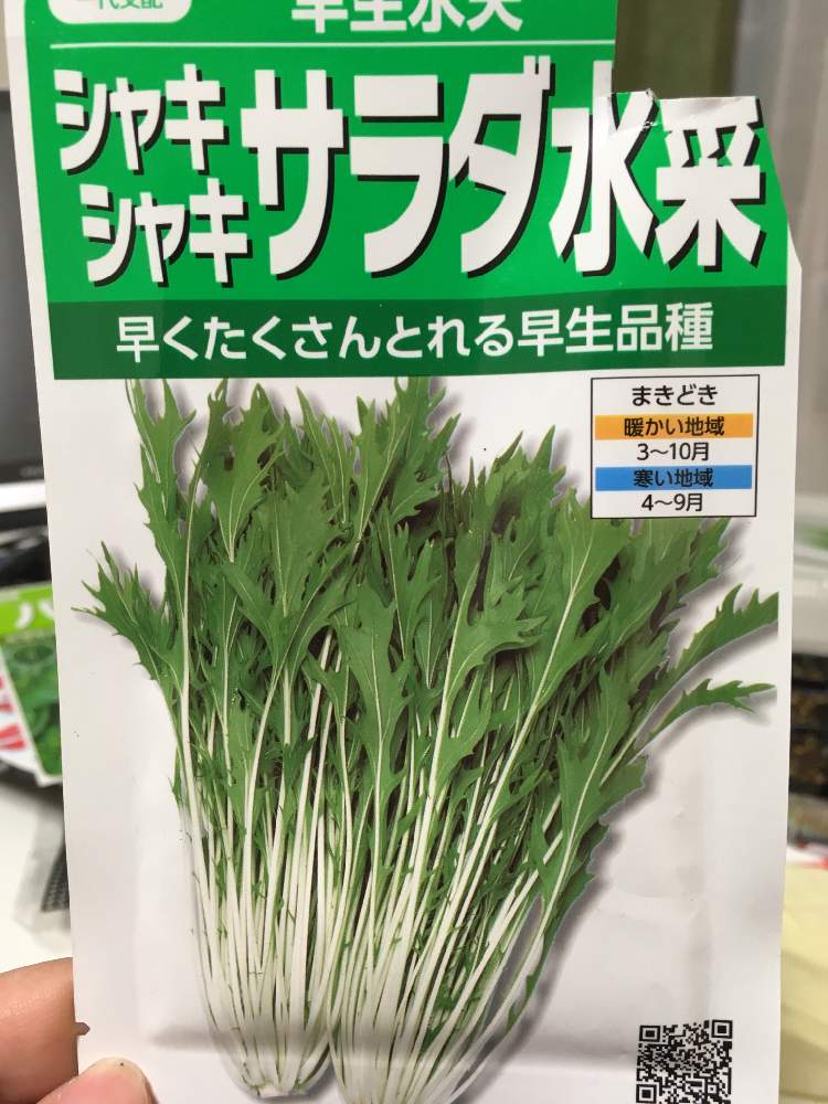 シャキシャキサラダ水菜 Greensnap グリーンスナップ