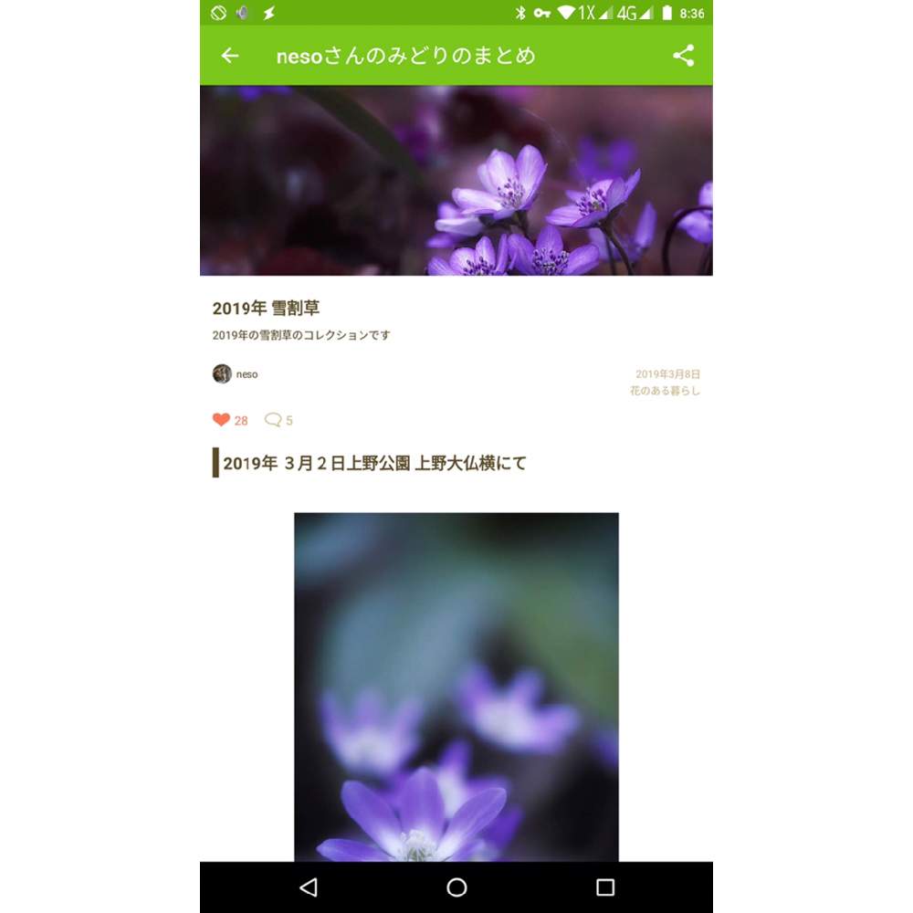 みどりのまとめ のダウンロード方法 Android編 Greensnap グリーンスナップ