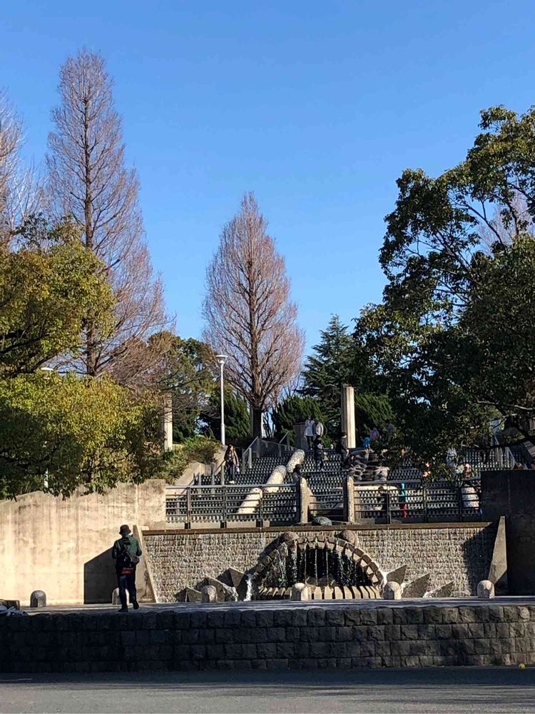 らりるん♪さんの山下公園への投稿