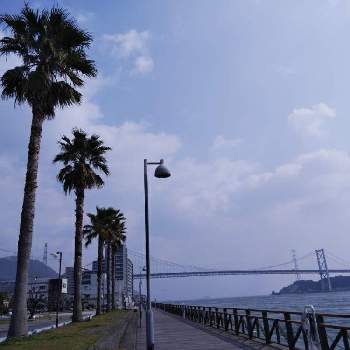 関門海峡の画像 by しろちゃんさん | お出かけ先とヤシ科と ヤシの木と素敵な場所と関門海峡と素敵な風景