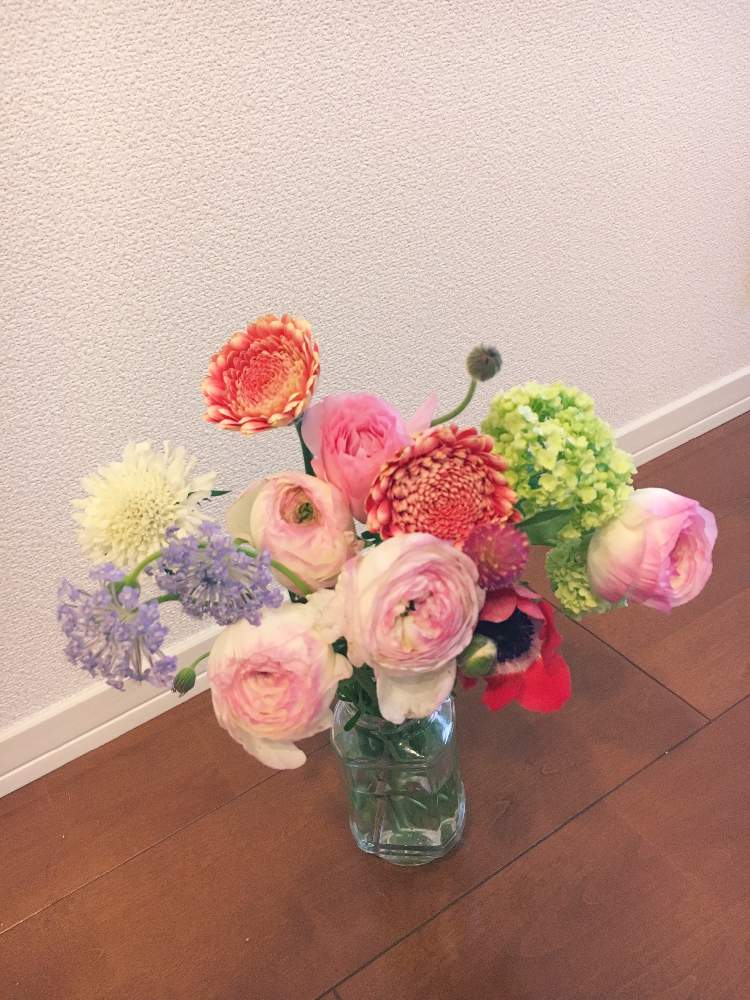ガーベラの投稿画像 By Cotripさん 紫陽花とラナンキュラスとセンニチコウとアネモネとスカビオサとブルーレースフラワーと花束 ブーケとアレンジと春色と花のある暮らしとふんわり優しい色と切り花と空きびん 19月3月25日 Greensnap グリーンスナップ