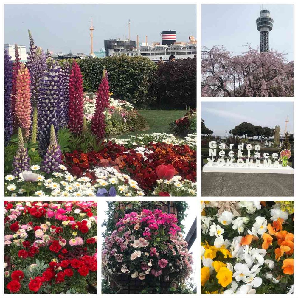 けろやさんの山下公園への投稿