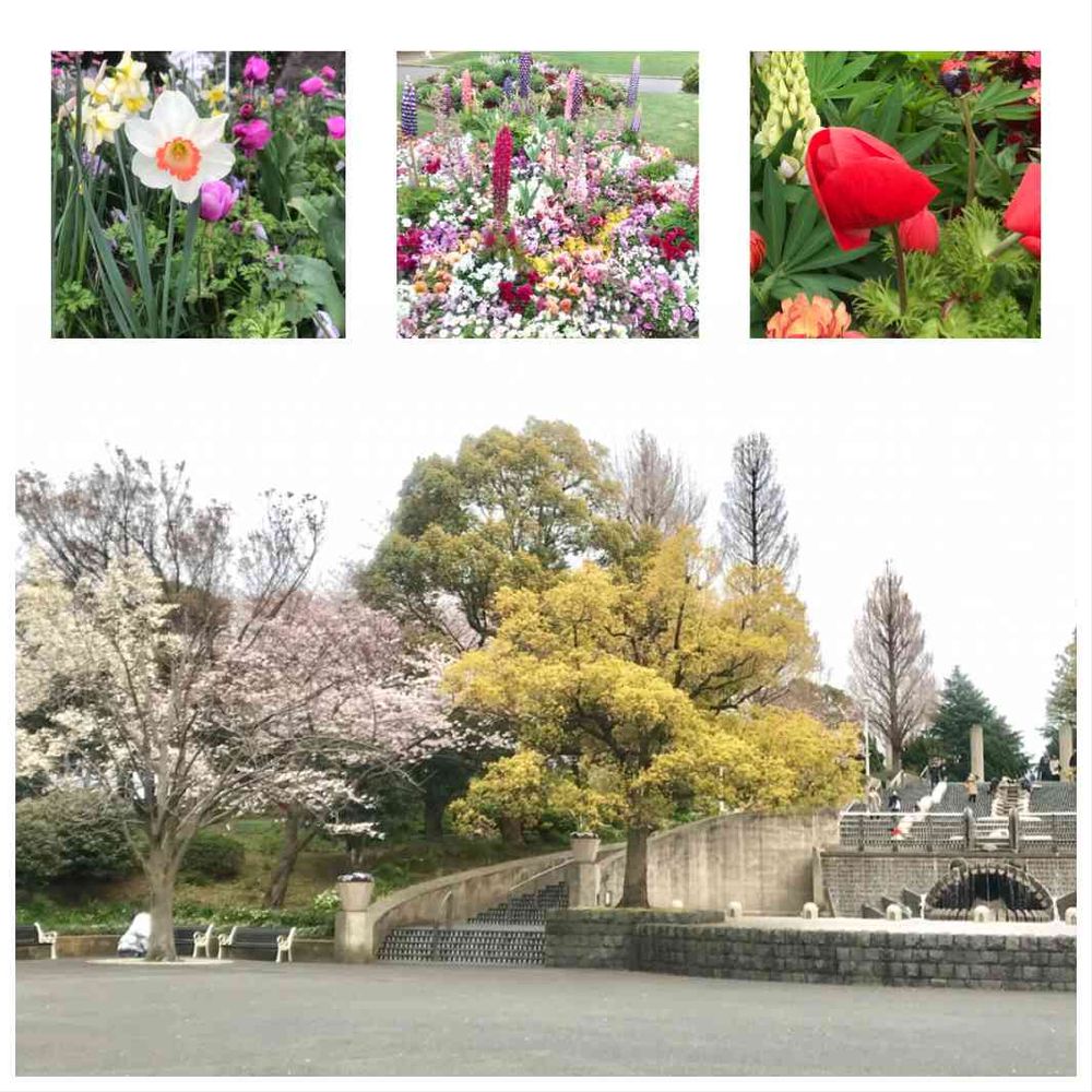 けろやさんの山下公園への投稿