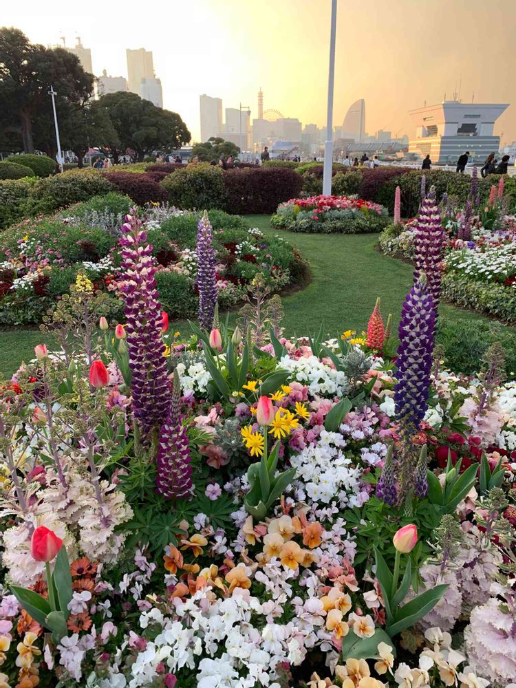 リジアさんの横浜公園への投稿