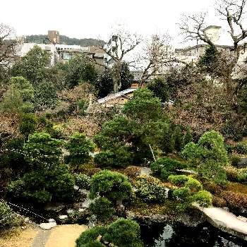 素敵な庭園の投稿画像一覧 Greensnap グリーンスナップ