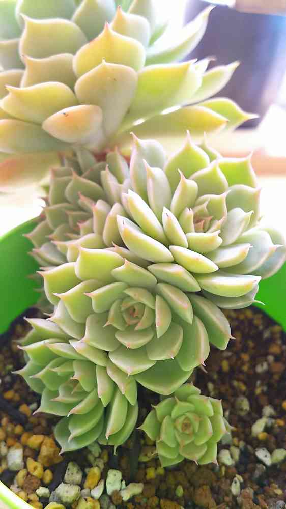 1554253625564_419898_20190403_