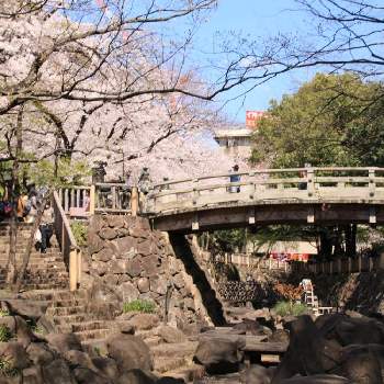 日本の都市公園100選の投稿画像一覧 Greensnap グリーンスナップ 日本の都市公園100選の投稿画像一覧 Greensnap グリーンスナップ