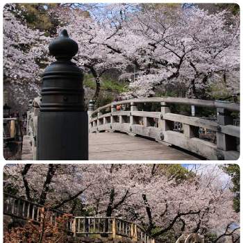日本の都市公園100選の投稿画像一覧 Greensnap グリーンスナップ 日本の都市公園100選の投稿画像一覧 Greensnap グリーンスナップ
