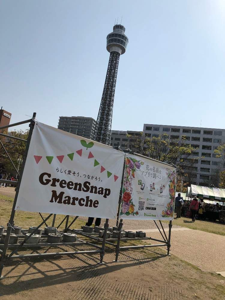 おうむ。さんの山下公園へのレポート