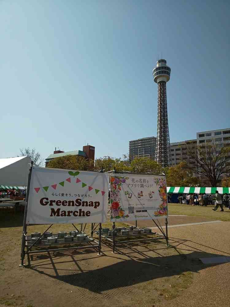 せつらさんの山下公園への投稿