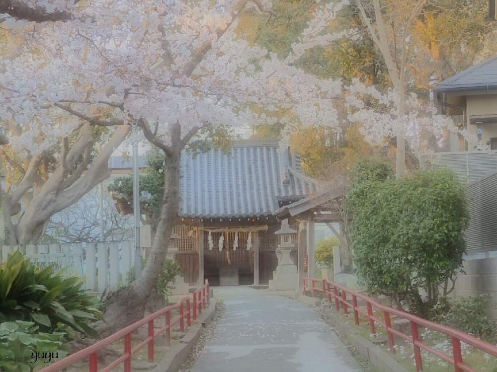 さくら サクラ 桜の投稿画像 By ゆゆさん 若葉とお写んぽと 桜の花と芽吹きと季節のお花探しと桜の季節と花のある暮らしとお散歩と 19桜 フォトコンテスト 19月4月6日 Greensnap グリーンスナップ