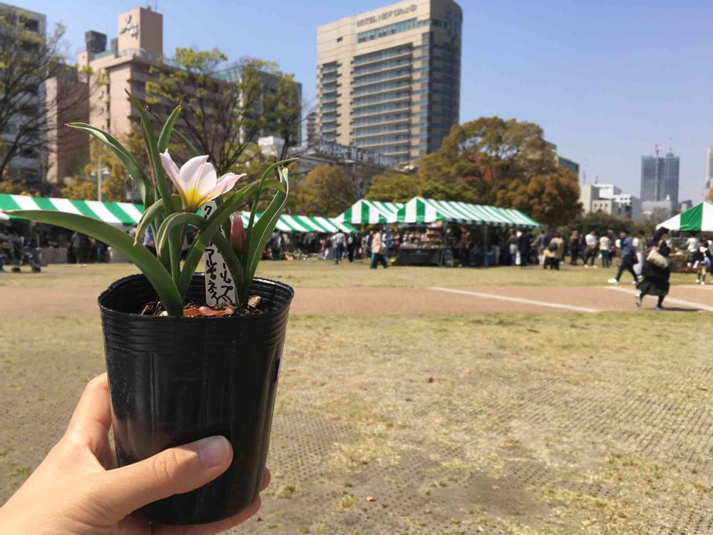 なこなこさんの山下公園への投稿