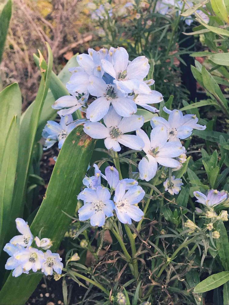 もちくみさんの山下公園への投稿