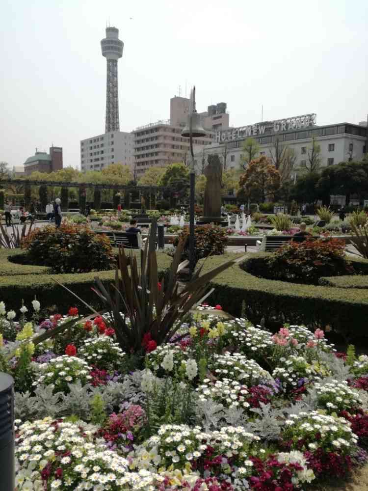 Skyblueさんの山下公園への投稿