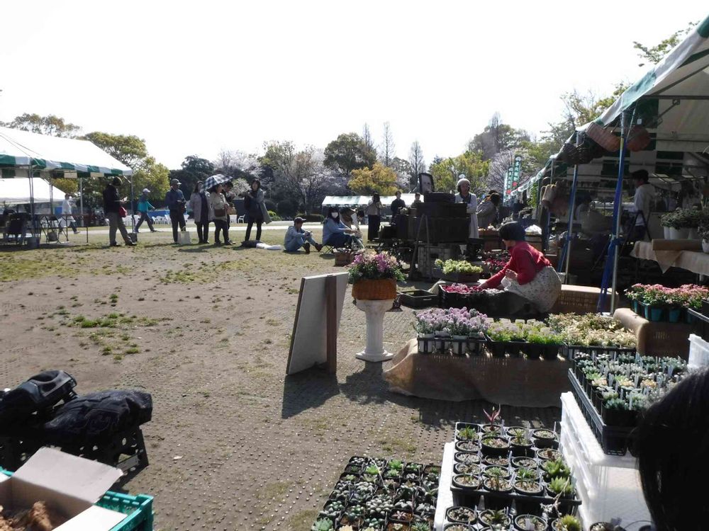 Green Noteさんの山下公園への投稿