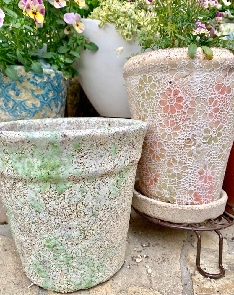 可愛い植木鉢の投稿画像 By コキリさんちの庭 さん 植木鉢とお気に入りの器や花瓶と植物 19月4月8日 Greensnap グリーンスナップ