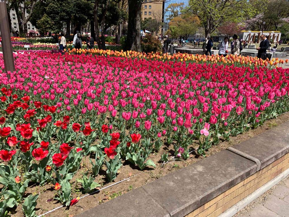 イブさんの横浜公園への投稿