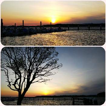 湖の夕焼けの画像 by lucky514さん | お出かけ先とお散歩風景と夕焼けと湖の夕焼けと4月とGS映えとGS日和とマルプーラッキー散歩と湖岸のお散歩と湖の風景