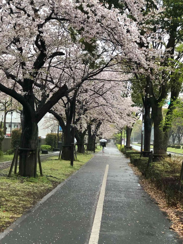 hiroさんの山下公園への投稿