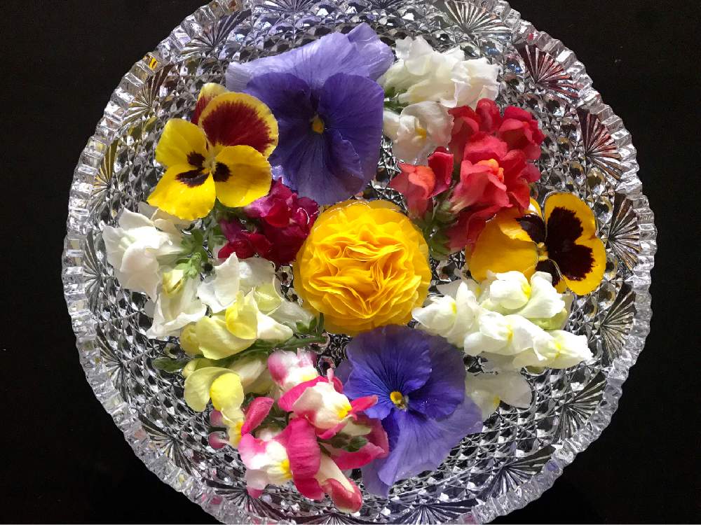 Gs映えの投稿画像 By Miwarinさん 雑貨好きとガーデニングと花のある暮らしとガラス容器 19月4月11日 Greensnap グリーンスナップ