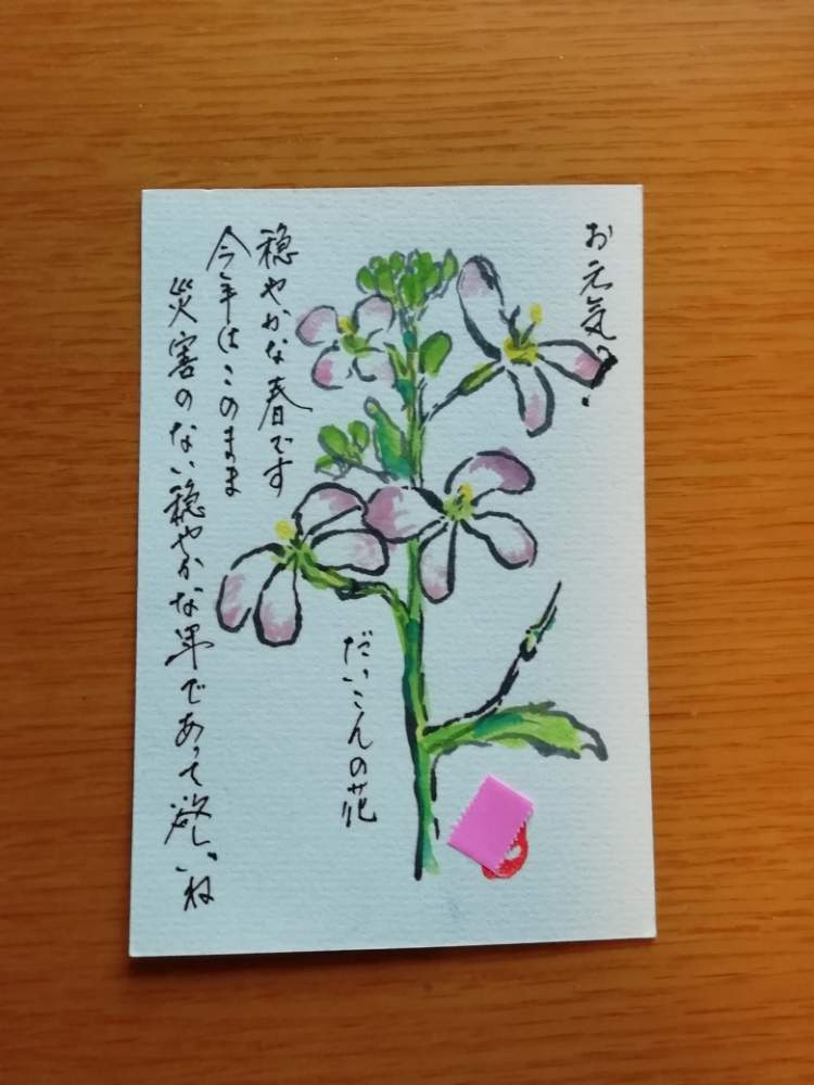 大根の花の投稿画像 By くまちゃんさん 描いてみよう と絵手紙 19月4月12日 Greensnap グリーンスナップ