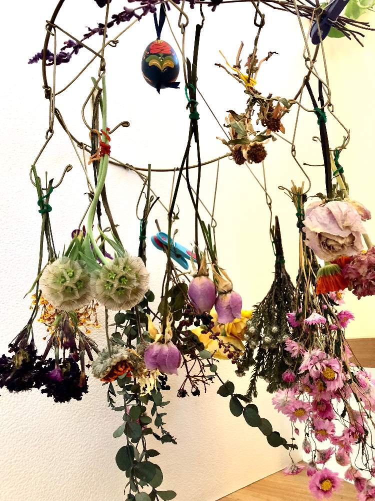 バラの投稿画像 By Naoariさん ユーカリとカーネーションとドライフラワーとドライフラワー にする と黄色い花と花のある暮らしとバラ ミニバラと花が好きと紫のはなとユーカリドライ 19月4月14日 Greensnap グリーンスナップ