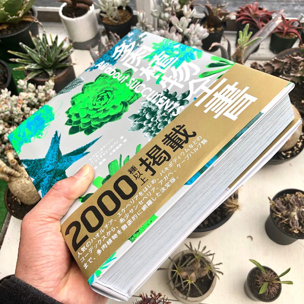 多肉植物全書の投稿画像 By Tenさん 多肉植物と植物のある暮らしとワンハンドと塊根植物のある暮らしとgs映えと多肉関連書籍とコーデックスと塊根植物 と参考書籍と珍奇植物とバルコニー ベランダと多肉本と書籍と多肉植物と植物のある暮らしとワンハンドと塊根植物のある