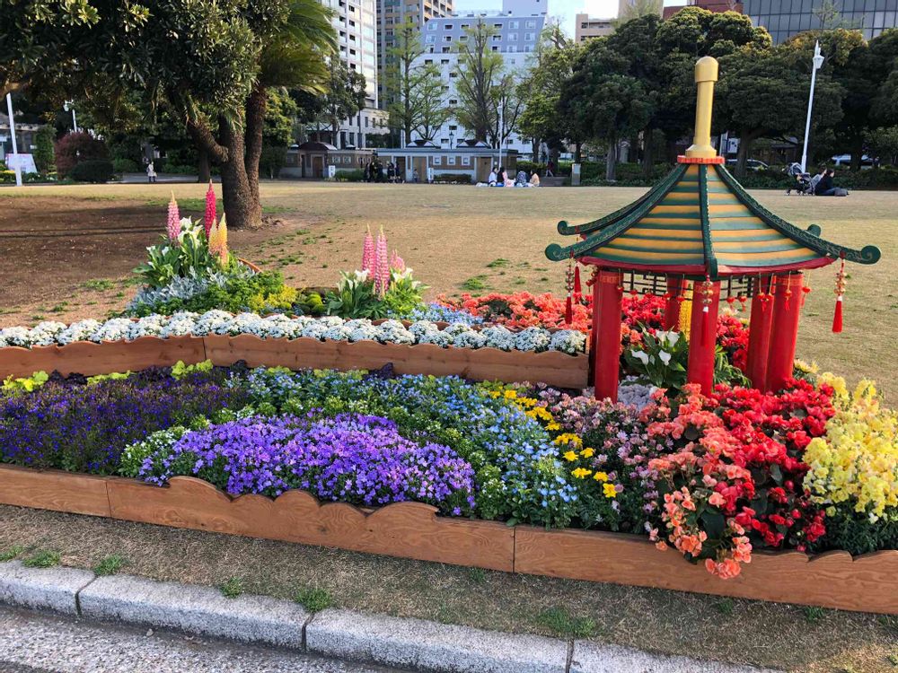 あとちゃんさんの山下公園への投稿