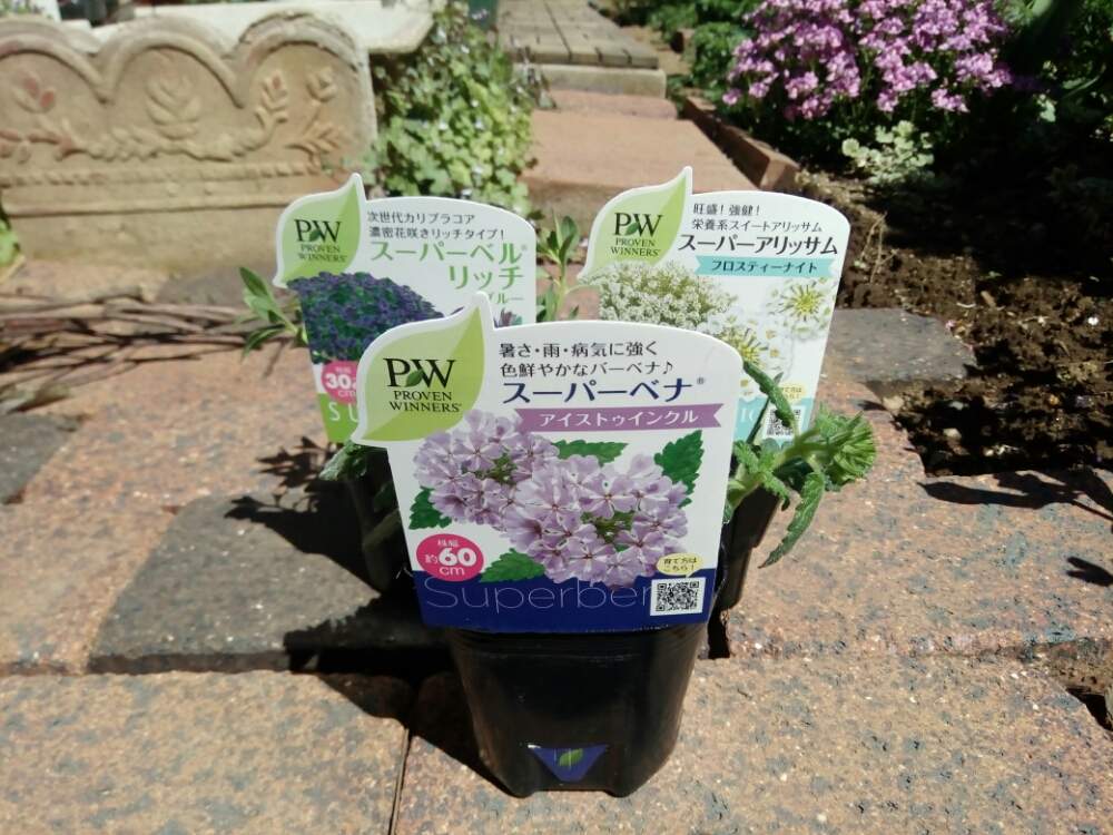 プレゼントキャンペーン当選 Green Snap ハクサン Greensnap グリーンスナップ