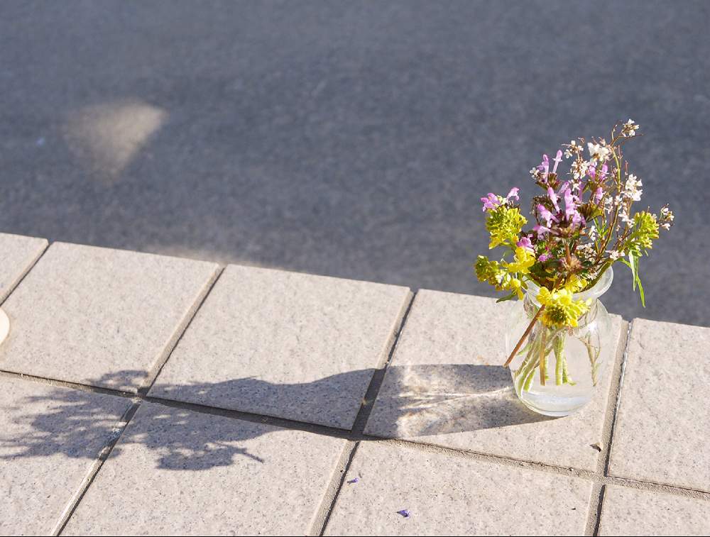 菜の花の投稿画像 By Sachiさん ホトケノザとナズナと春のお花と花器と季節の花といけばなとお花と切り花 19月4月16日 Greensnap グリーンスナップ