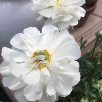 アプローチの画像