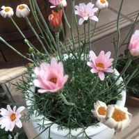 アプローチの画像