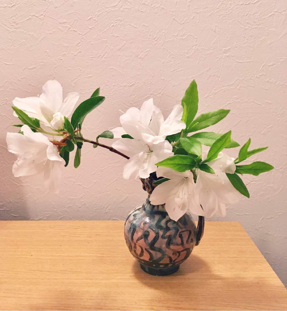 ツツジの投稿画像 By ツバキさん 一輪挿しと庭に咲く花と自己流と手作り花瓶といけばなと花のある暮らしと令和最初の植物 お花フォトコン 19月4月17日 Greensnap グリーンスナップ