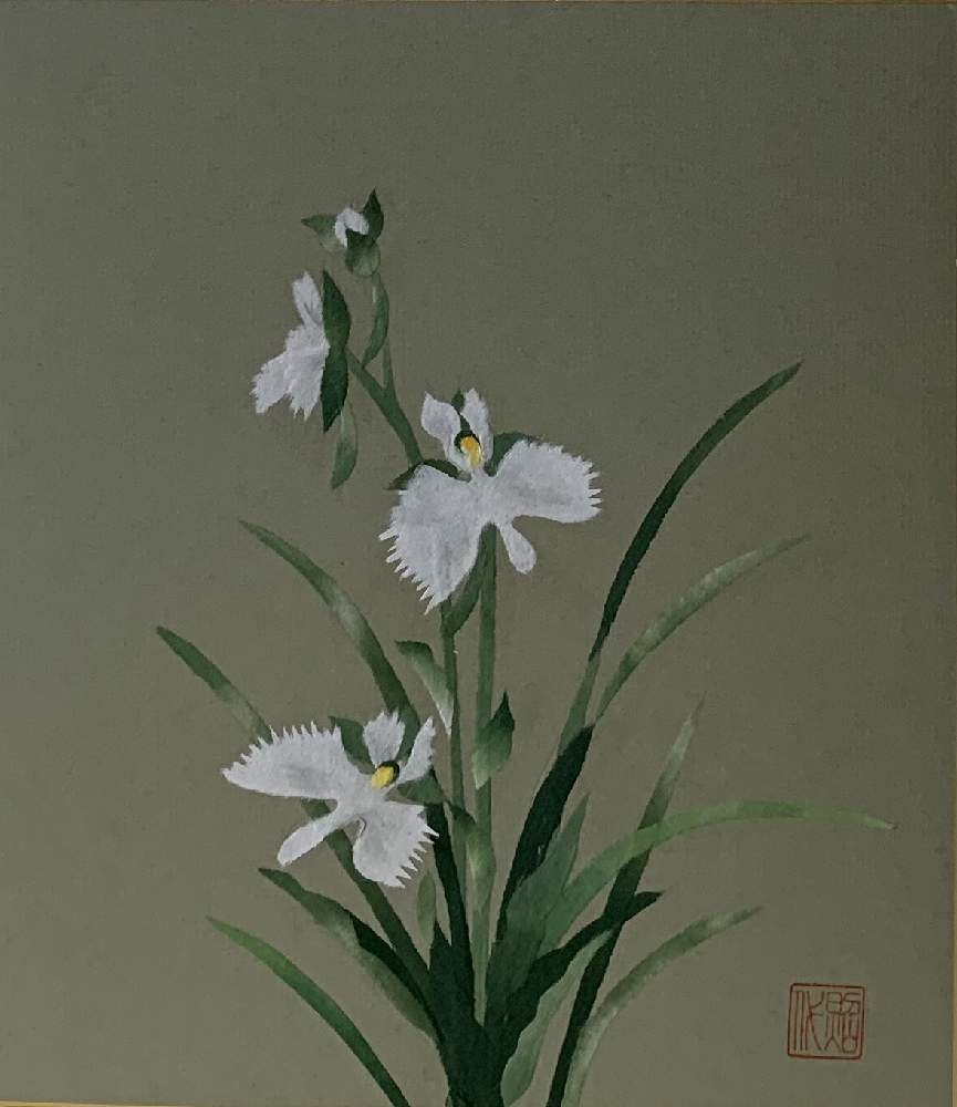 サギソウの投稿画像 By ねこ校長さん インテリアとちぎり絵とちぎり絵 19月4月日 Greensnap グリーンスナップ Greensnap グリーンスナップ