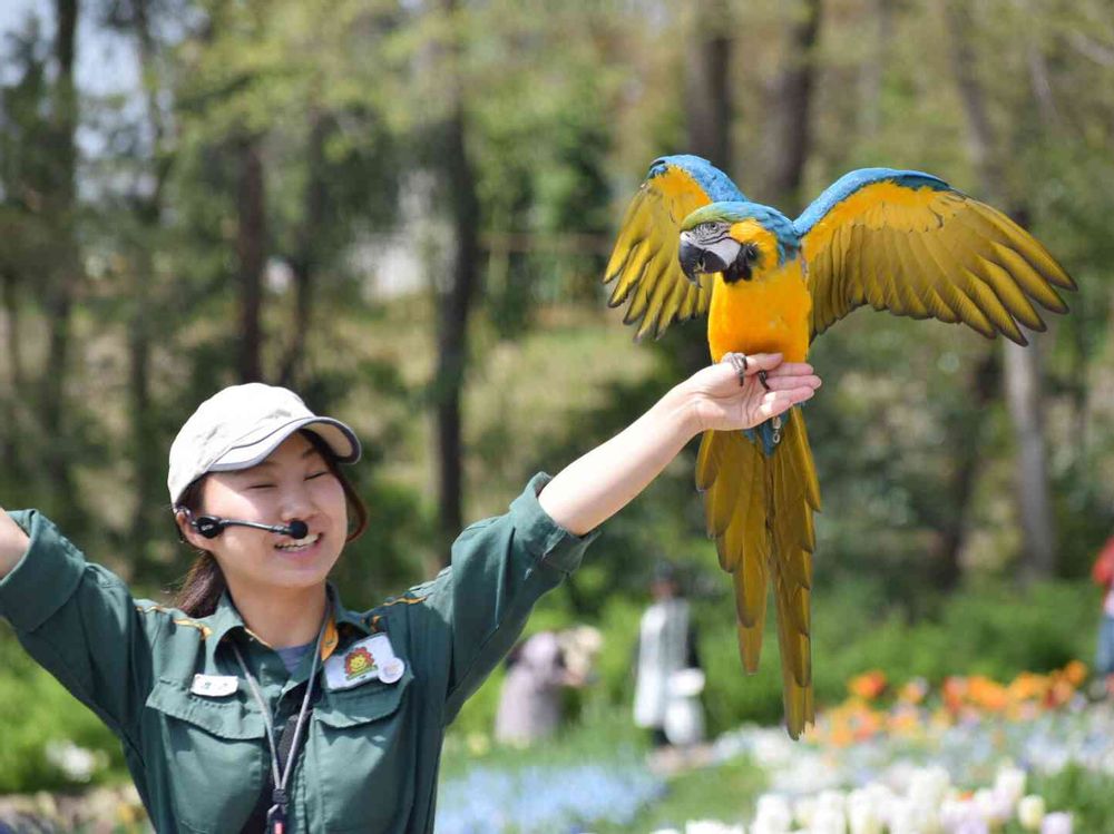 テツロウさんの里山ガーデン（大花壇）への投稿