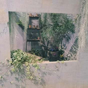 日本フラワー ガーデンショウの投稿画像一覧 Greensnap グリーンスナップ