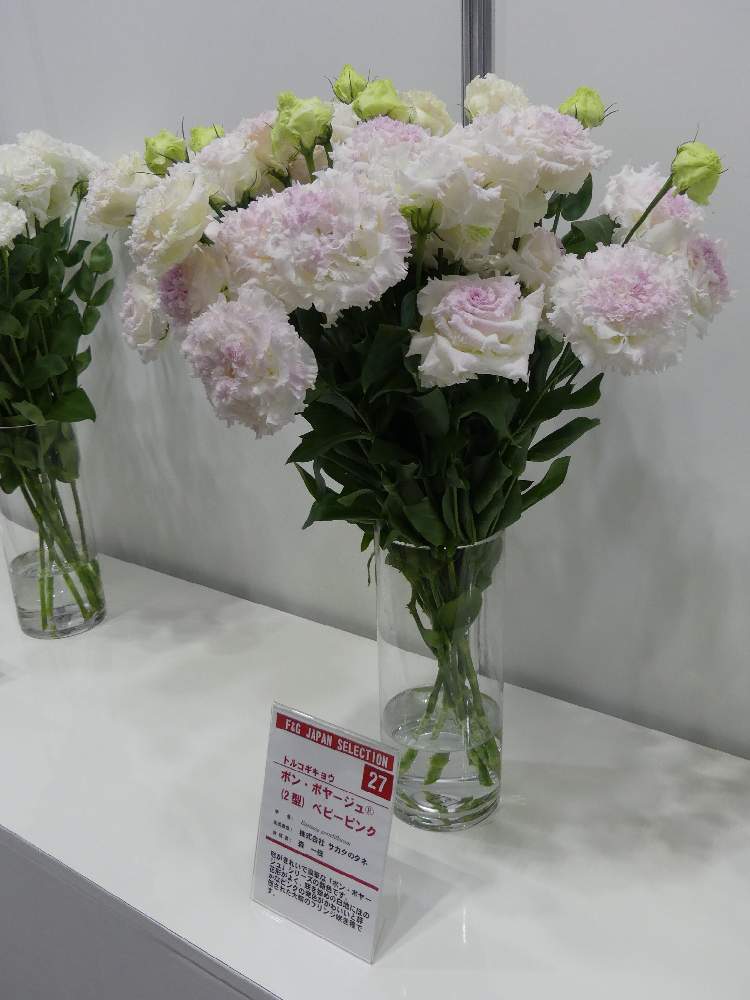 ガーデンネックレス横浜19コンテストの投稿画像 By Takaさん リシアンサス と花のある暮らし 19月4月21日 Greensnap グリーンスナップ