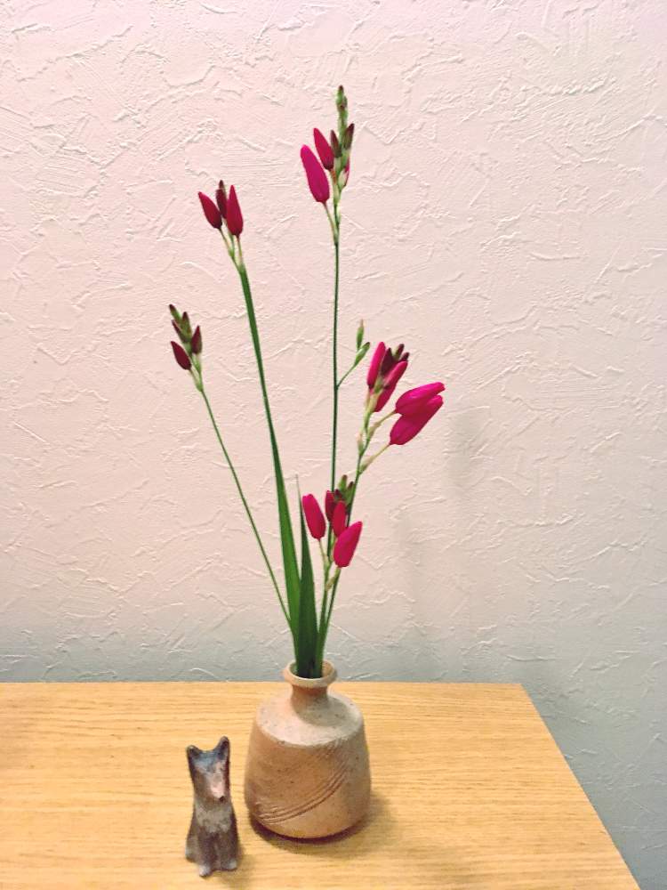 ベスト花 一輪挿し 最高の花の画像