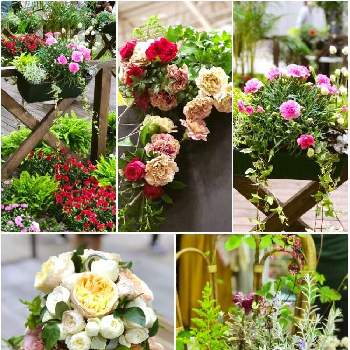 花イベントの画像 by dahliaさん | お出かけ先と2019日本フラワー&ガーデンショウと寄せ植えとガーデニングと花のある暮らしとかわいいと花イベント