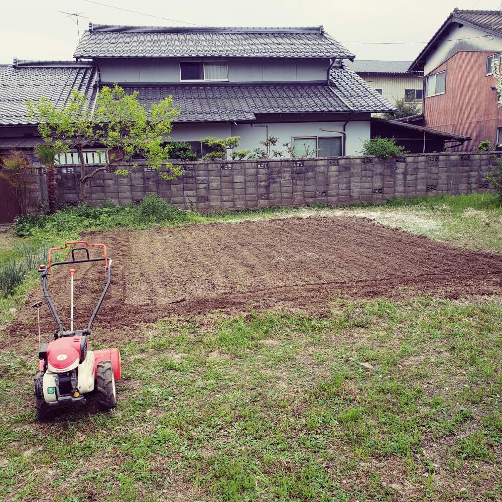 家庭菜園奮闘日記の投稿画像 By 恭野さん 土づくりと土起こしと牛ふん堆肥と苦土石灰 19月4月23日 Greensnap グリーンスナップ