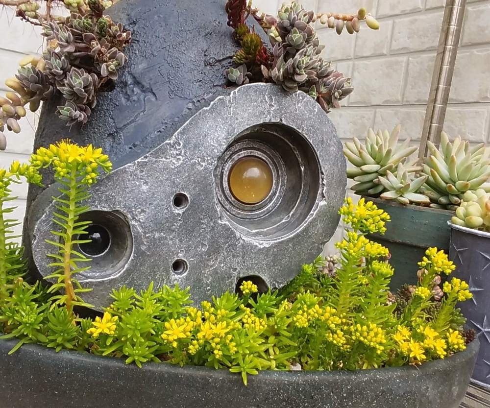 ロボット兵の思いの投稿画像 By ポンタさん ロボット兵とポン ロボット兵 19月4月24日 Greensnap グリーンスナップ