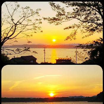 湖の夕焼けの画像 by lucky514さん | お出かけ先とお散歩風景と夕焼けと湖の夕焼けと4月とGS映えと夕日とGS日和とマルプーラッキー散歩と湖の風景