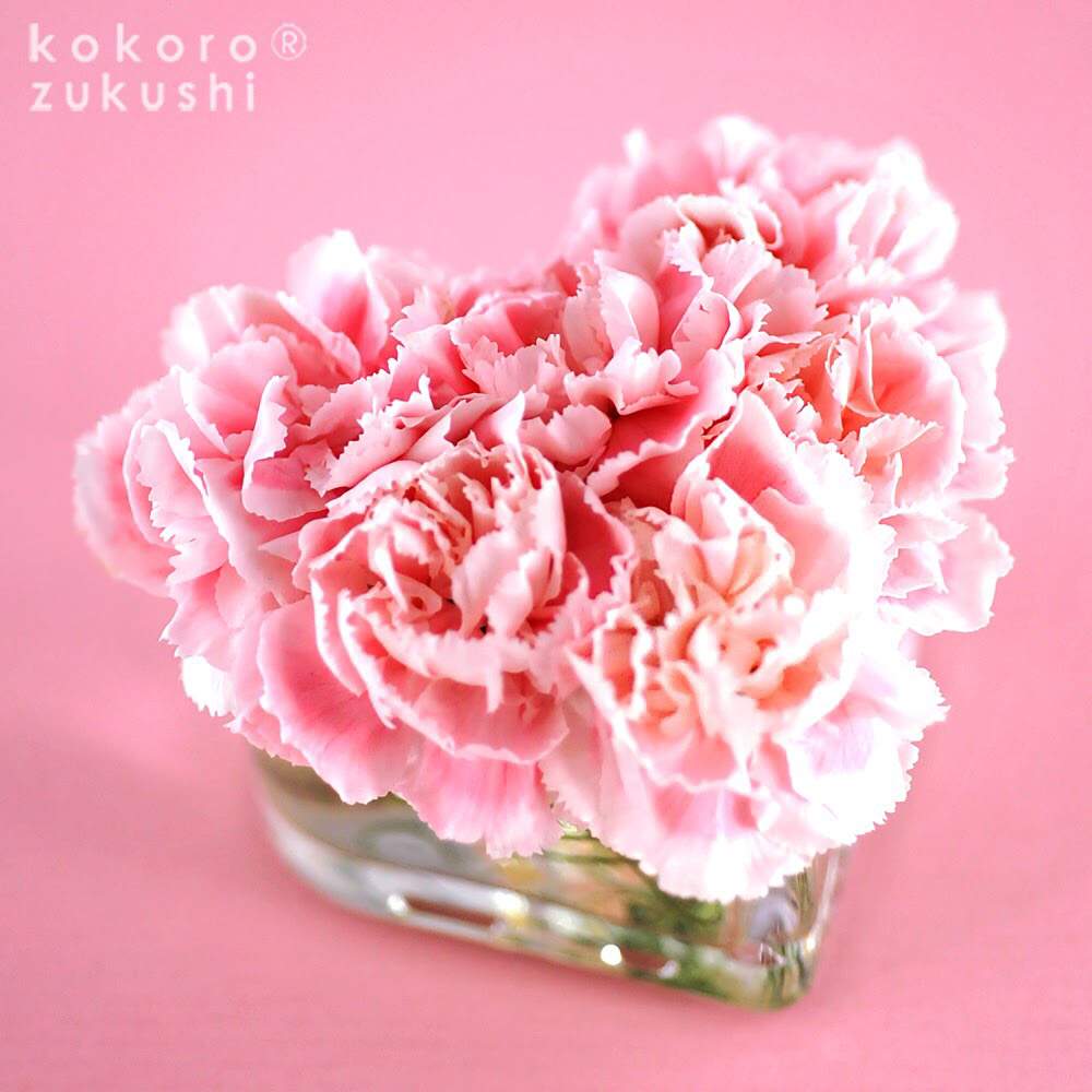 スプレーカーネーションの投稿画像 By Kokorozukushiさん お花のカレンダーとピンクの花とハートアレンジとハートの形とhappy とgs映えとgs日和と今日の一枚と今日のお花と花のある暮らしと花あしらいと贈りものとハッピーメッセージ 19月5月3日 Greensnap
