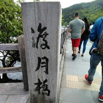 渡月橋の画像 by にゃんこ同好会さん | お出かけ先と渡月橋と嵐山