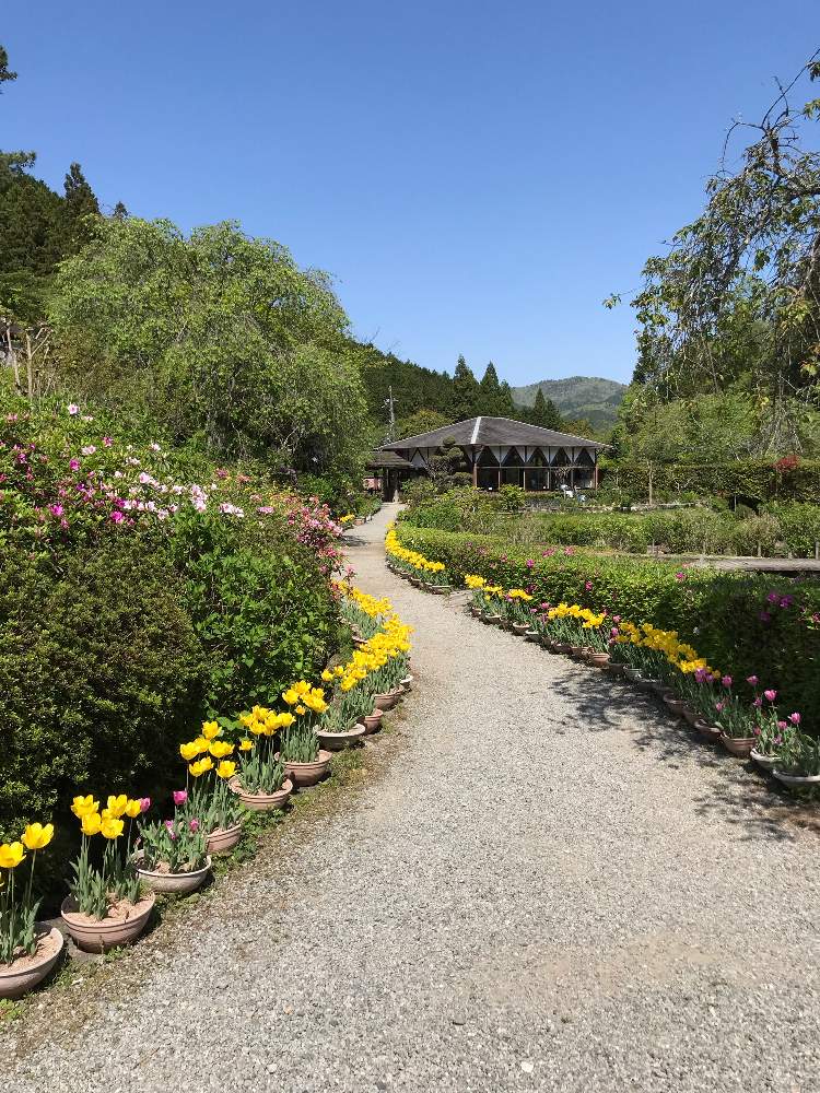 花の郷 滝谷花しょうぶ園 Greensnap グリーンスナップ