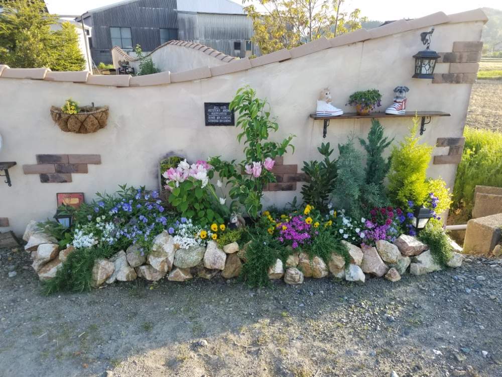 Gs映えの投稿画像 By La Fleur ラ フルール さん 春の庭と小さな花壇と可愛いお庭と可愛いとガーデニングと花のある暮らし 19月5月4日 Greensnap グリーンスナップ