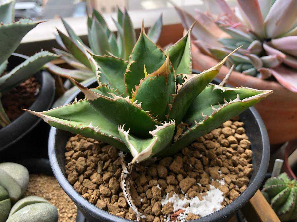 1557113158298_thum_457680_phot