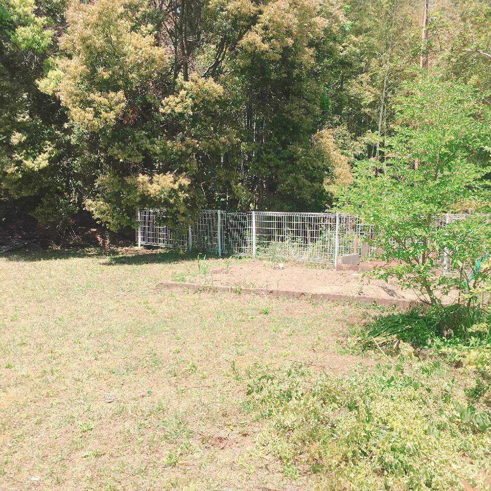 北庭を居心地よく庭づくり Greensnap グリーンスナップ