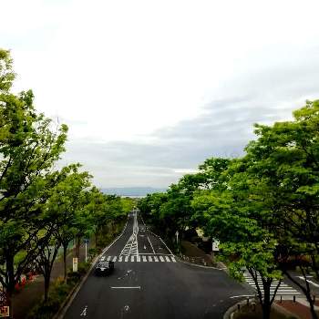 車窓の画像 by mom.sさん | お出かけ先と車窓と湖西線と花のある暮らしと滋賀県